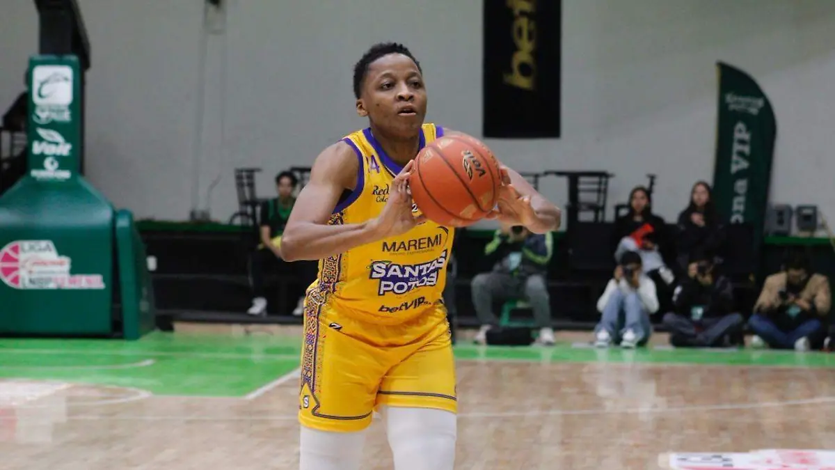 WhatsApp Image 2026-04-22 at 15.37.57