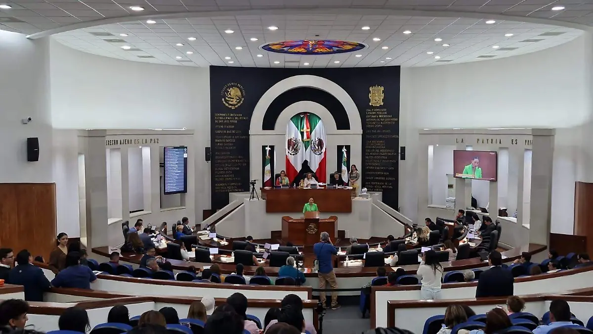 WhatsApp Image 2026-04-23 at 11.13.11