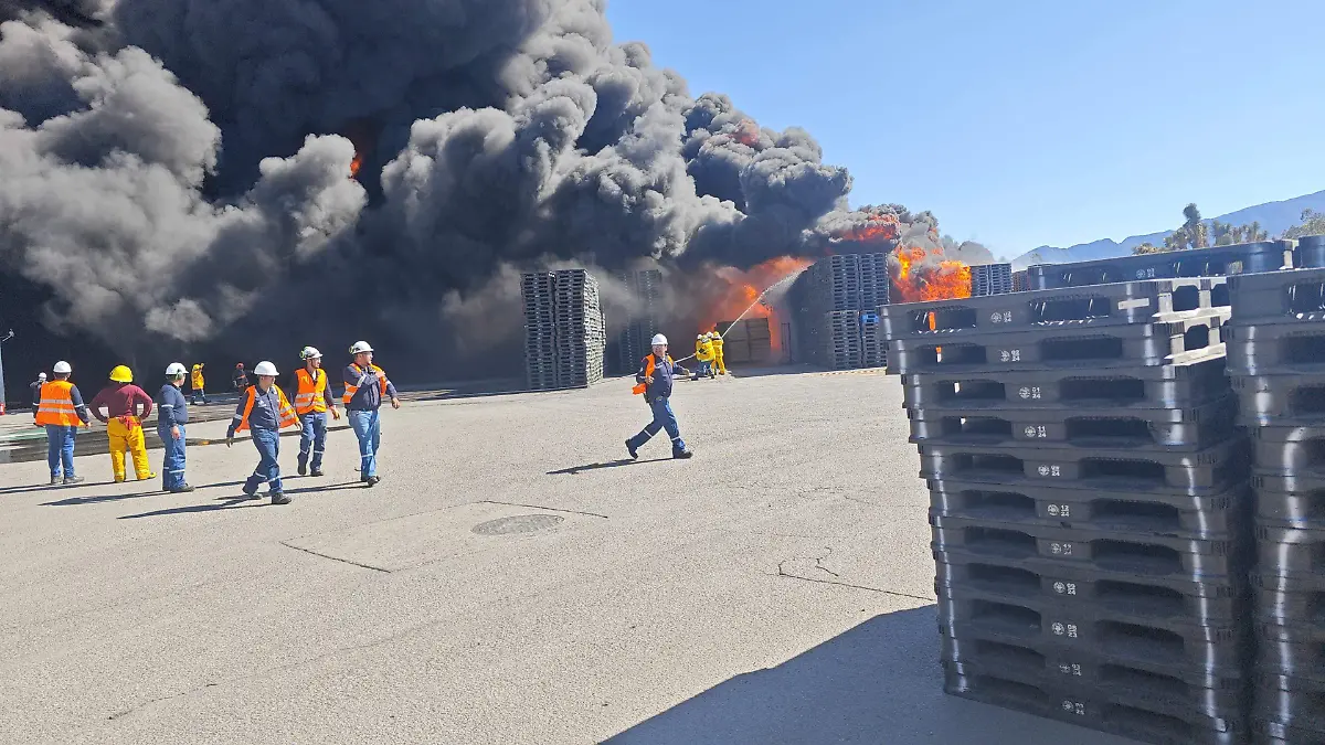 WhatsApp Image 2026-04-24 at 3.59.59 PM