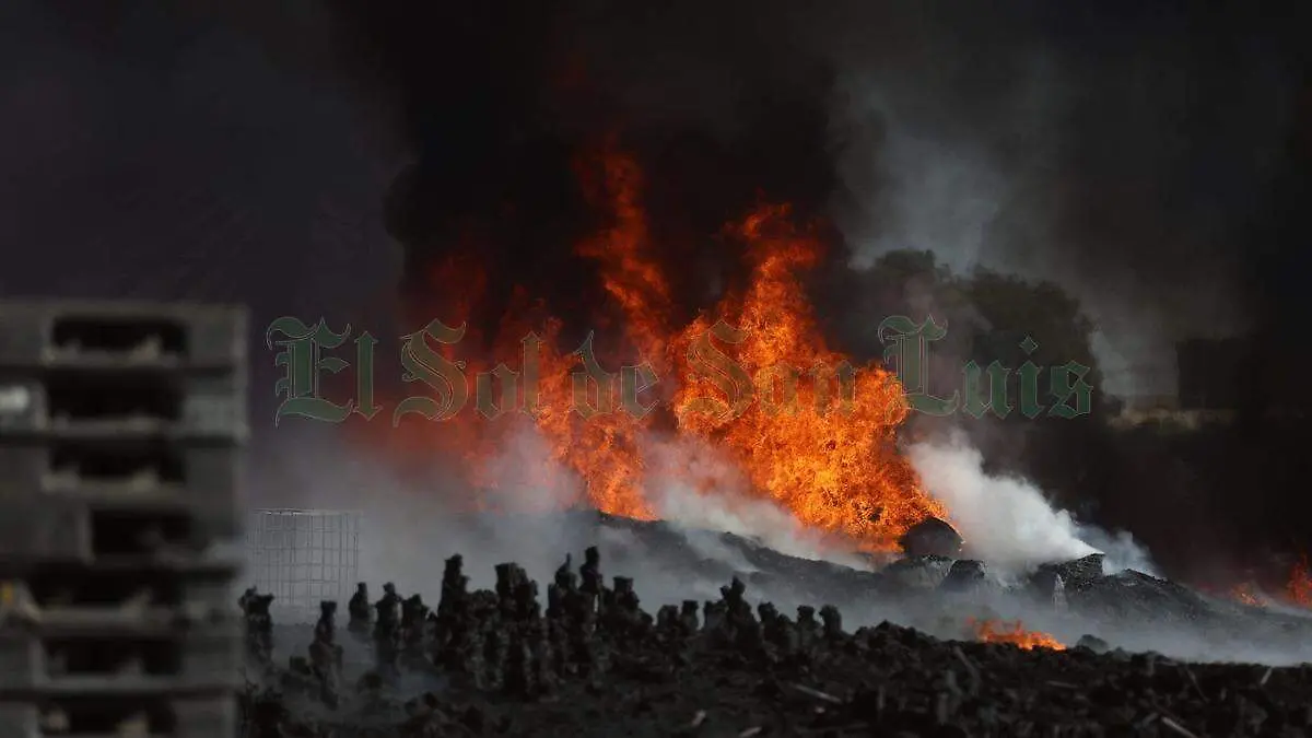 WhatsApp Image 2026-04-24 at 5.22.16 PM (1)