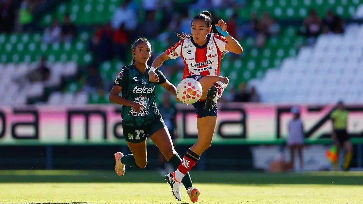 WhatsApp Image 2026-04-24 at 19.24.39