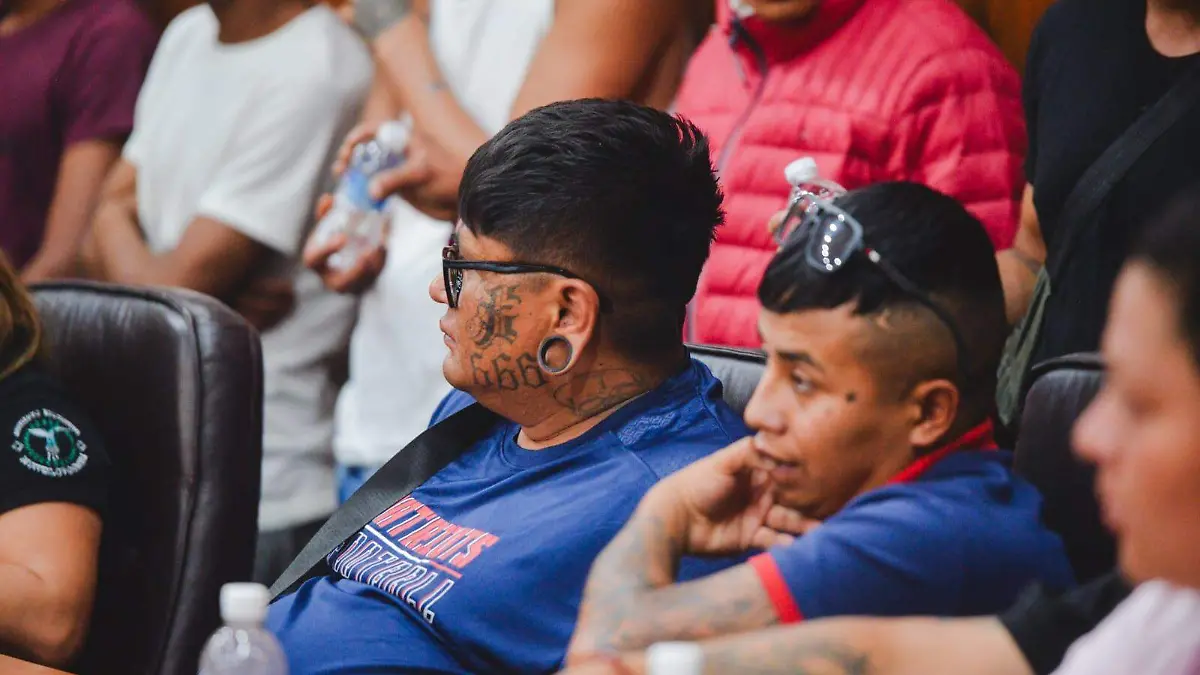 WhatsApp Image 2026-04-24 at 14.52.54