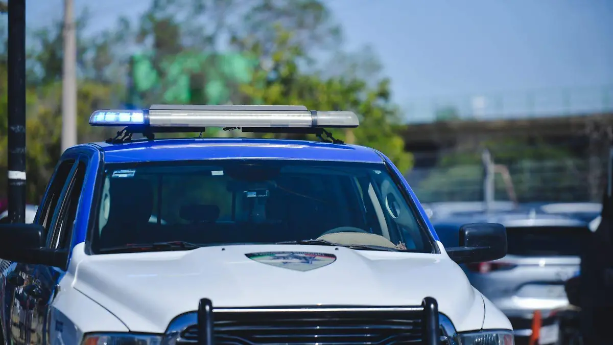 WhatsApp Image 2026-04-24 at 11.18.16