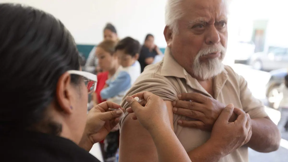 WhatsApp Image 2026-04-24 at 3.11.50 PM