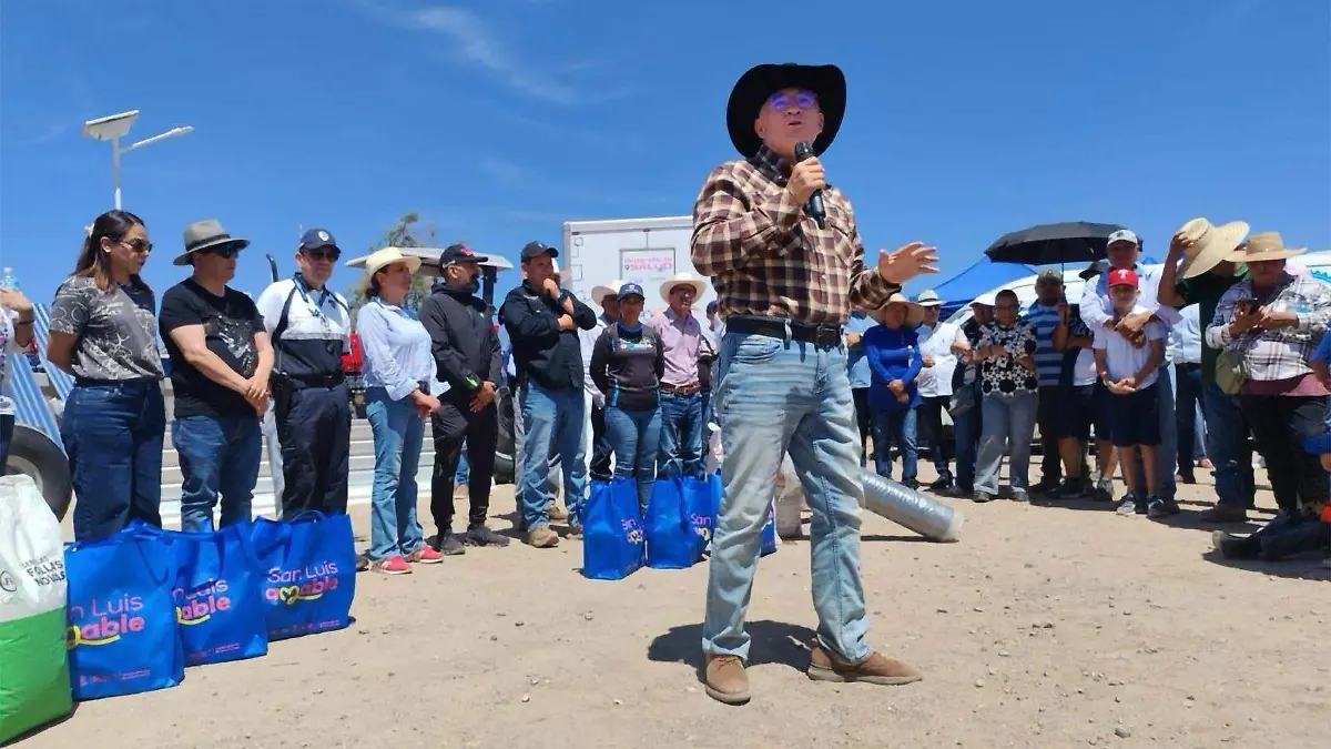 WhatsApp Image 2026-04-26 at 2.45.50 PM