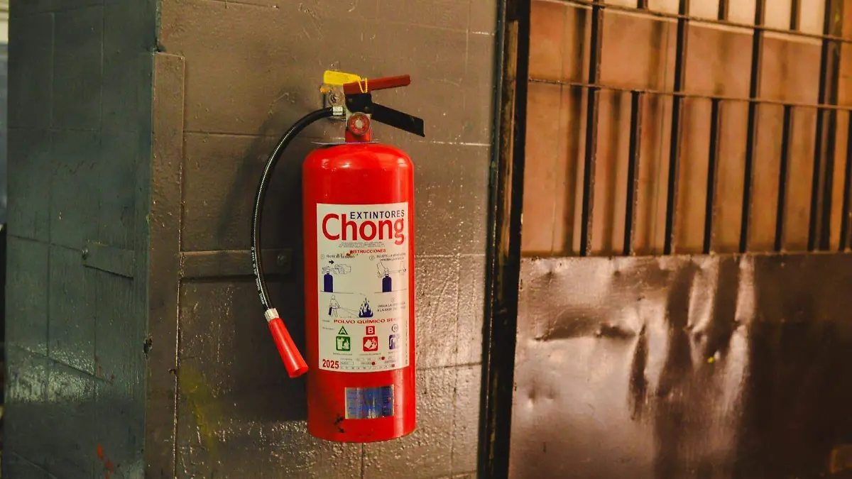 WhatsApp Image 2026-04-26 at 2.24.20 PM