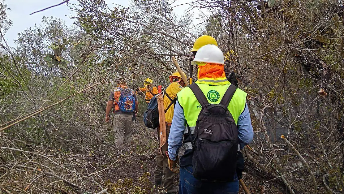 683033972_1385251963638866_5196890103900585330_n