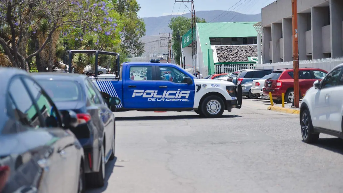 WhatsApp Image 2026-04-27 at 13.16.08