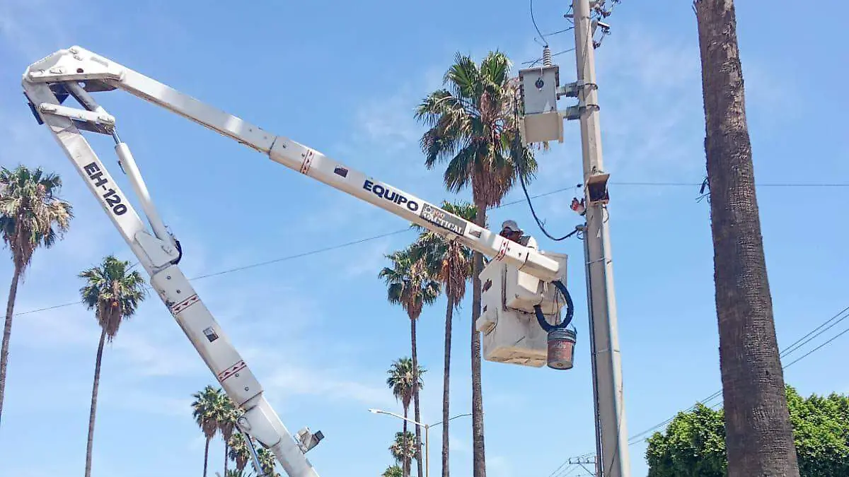 WhatsApp Image 2026-04-27 at 2.20.53 PM