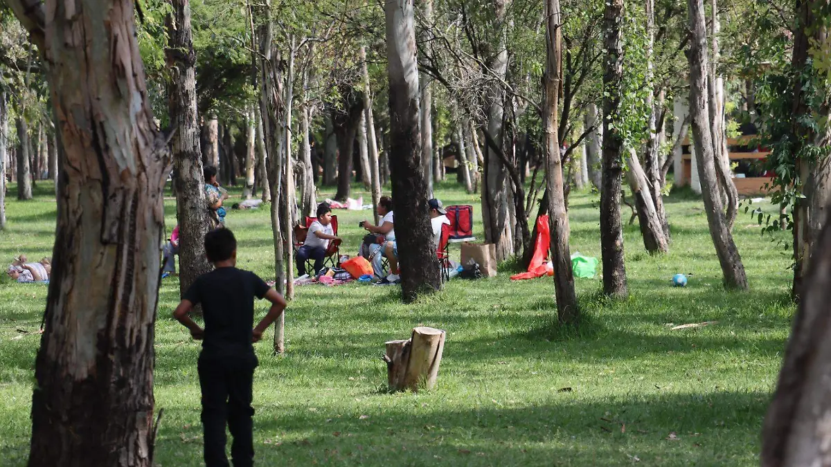 WhatsApp Image 2026-04-27 at 4.06.00 PM