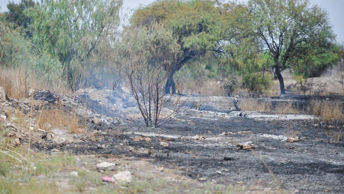 Incendio de pastizal en el fraccionamiento Los Lagos (1)