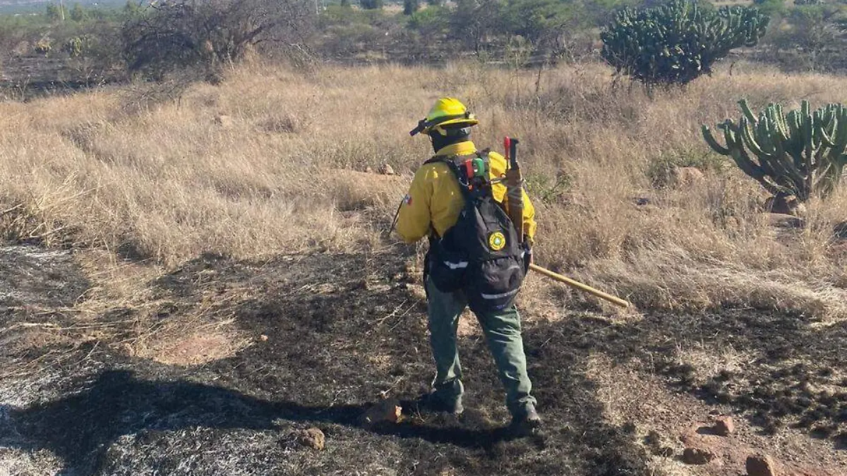 2 incendios forestales activos