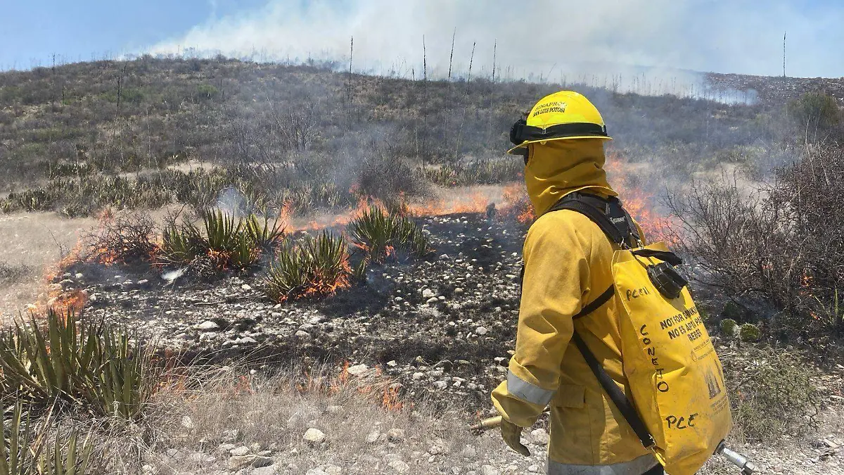 Incendio en Matehula