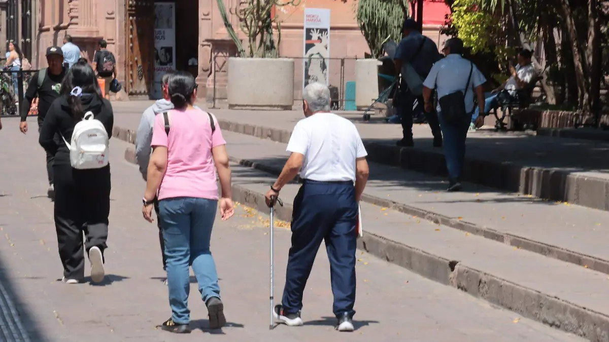 Pensionados