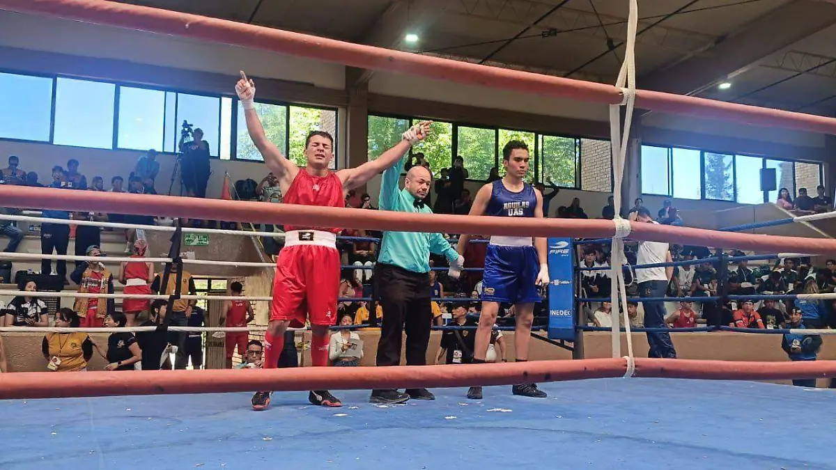 Boxeo