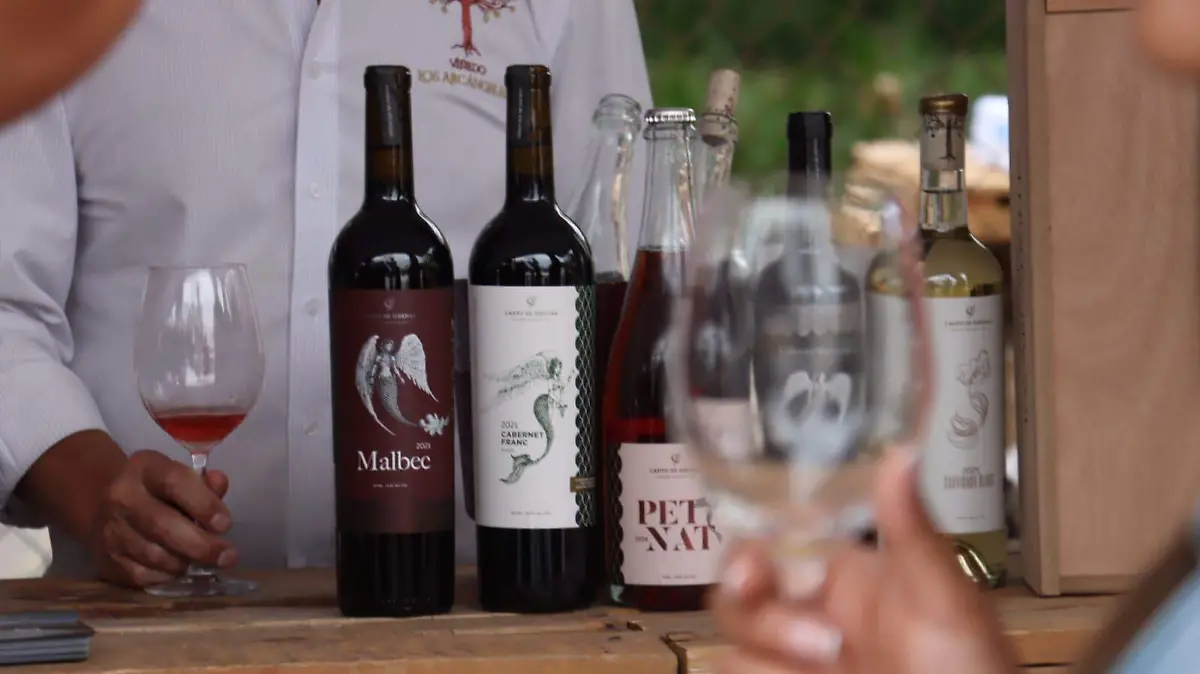 VINO (6)
