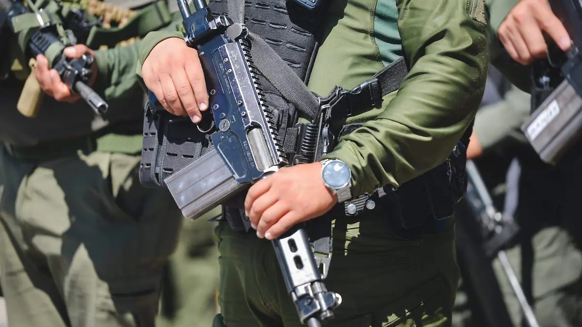 Seguridad elementos de la SSPCE