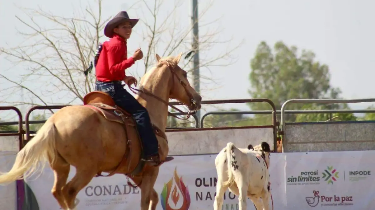 rodeo 2