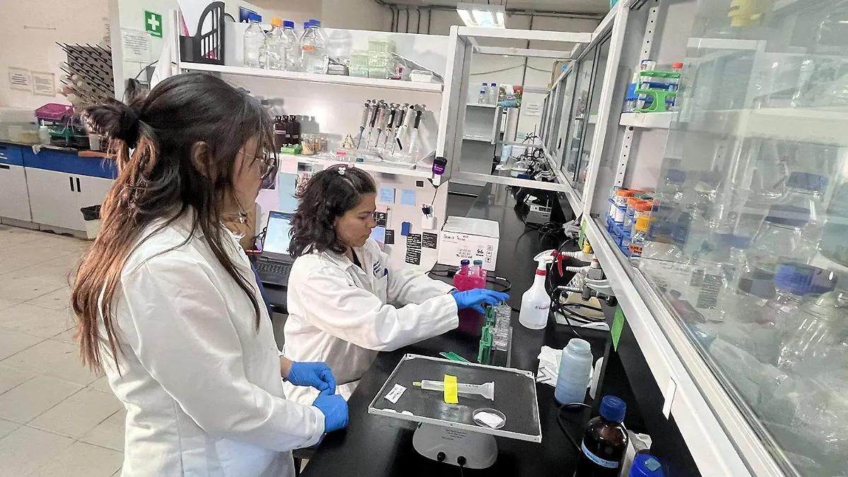 Laboratorios Nacionales del Instituto Potosino de Investigación Científica y Tecnológica  (1)