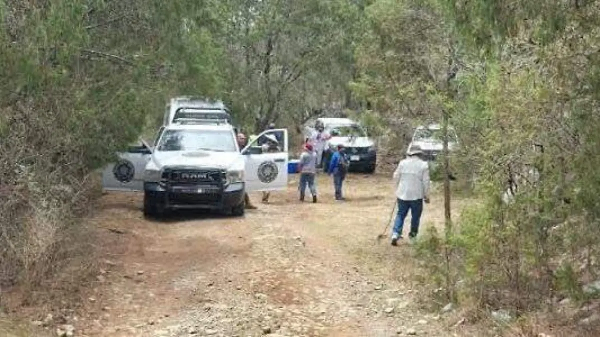 Colectivos de búsqueda