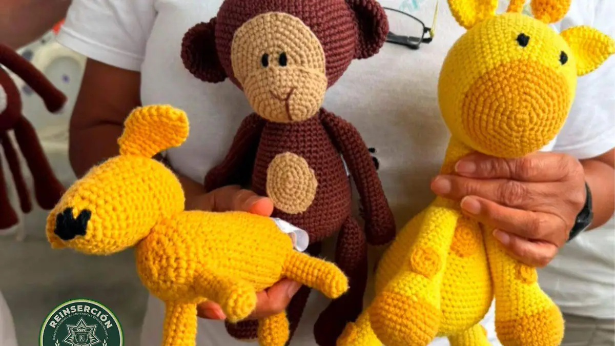 tejido crochet  (2)