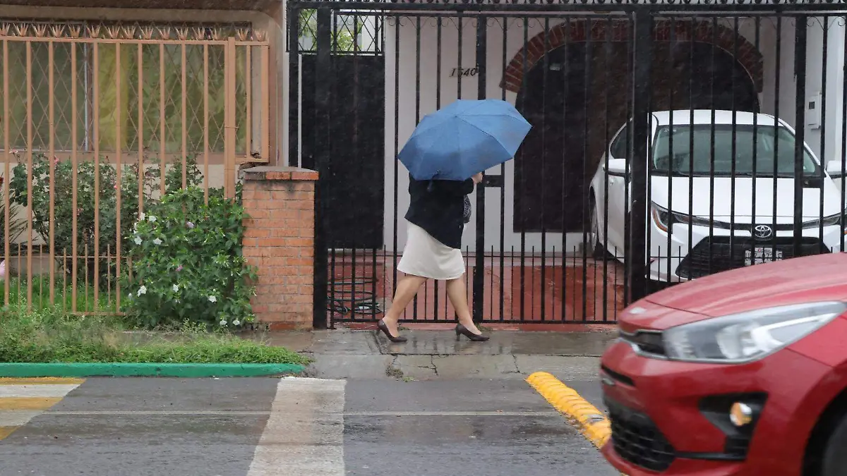 Lluvias y ventas (1)