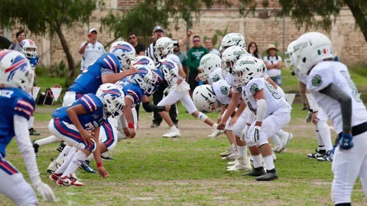 Buffalos 3