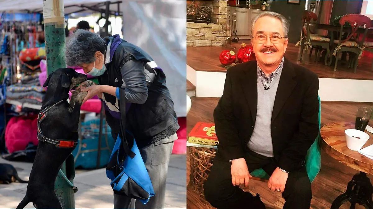 Pedro Sola