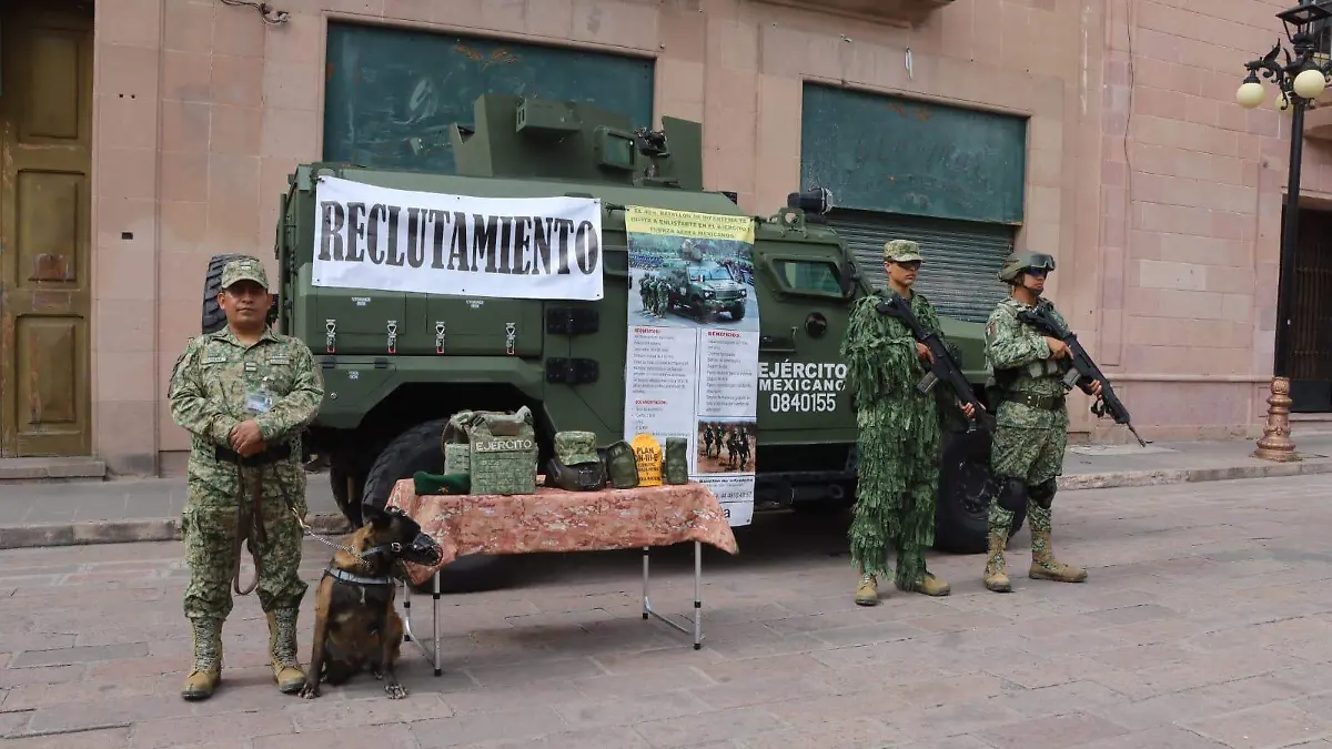 Ejército Mexicano (2)