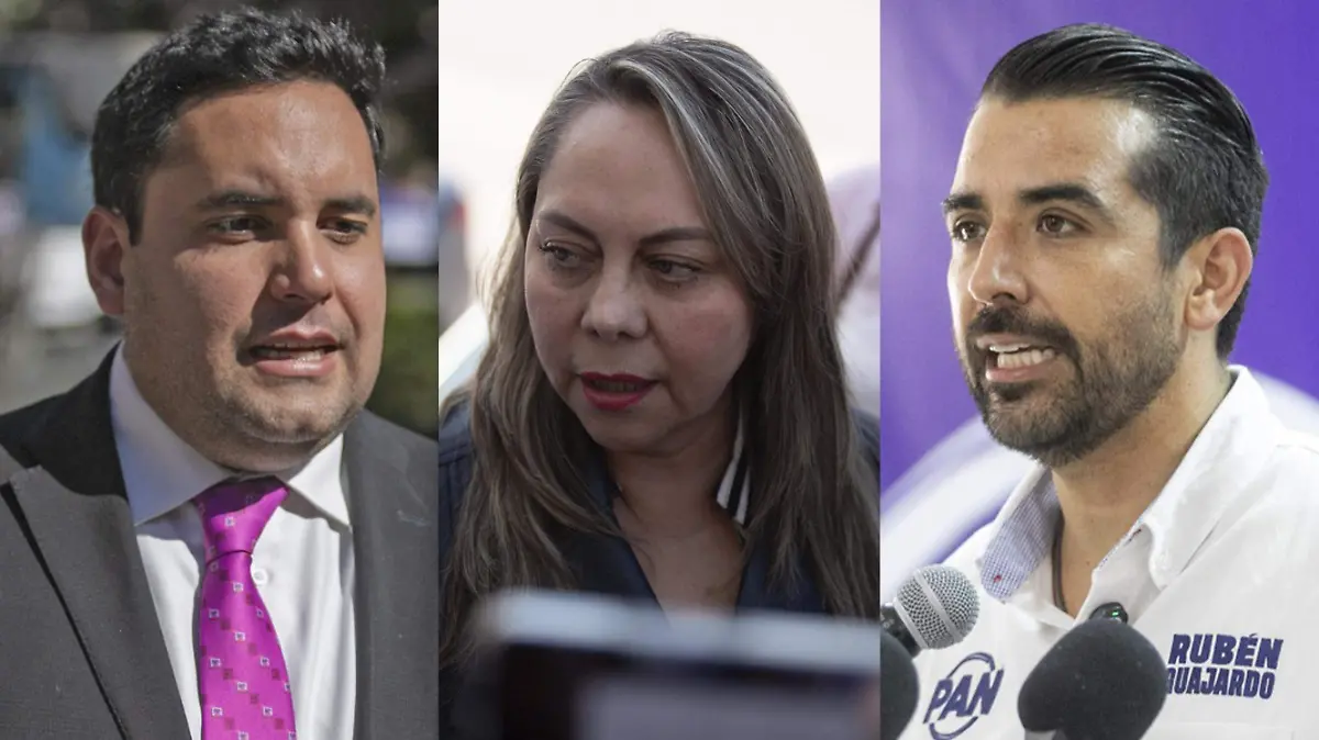 diputados 1