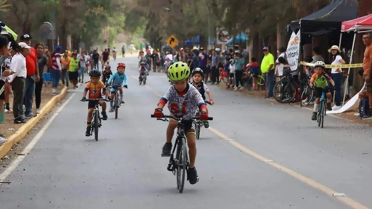Junior Bike