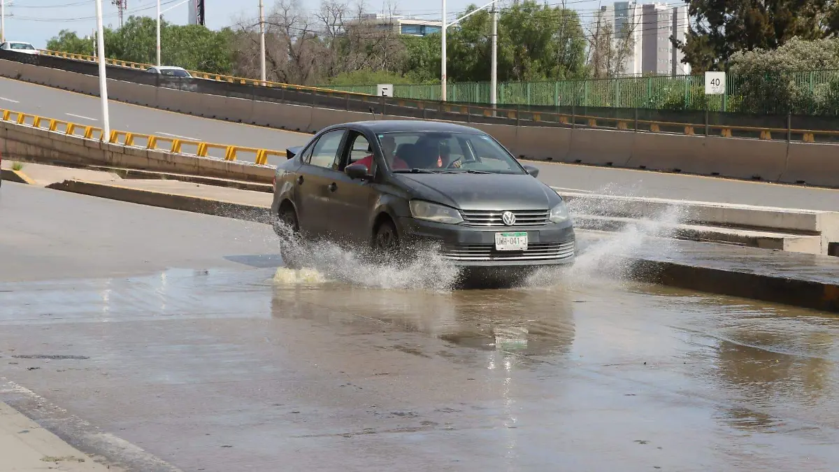 brotes de aguas negras  (1)