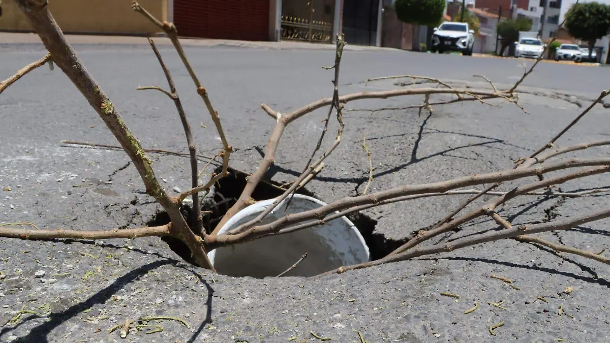 hundimiento en la avenida Mariano Jiménez (3)