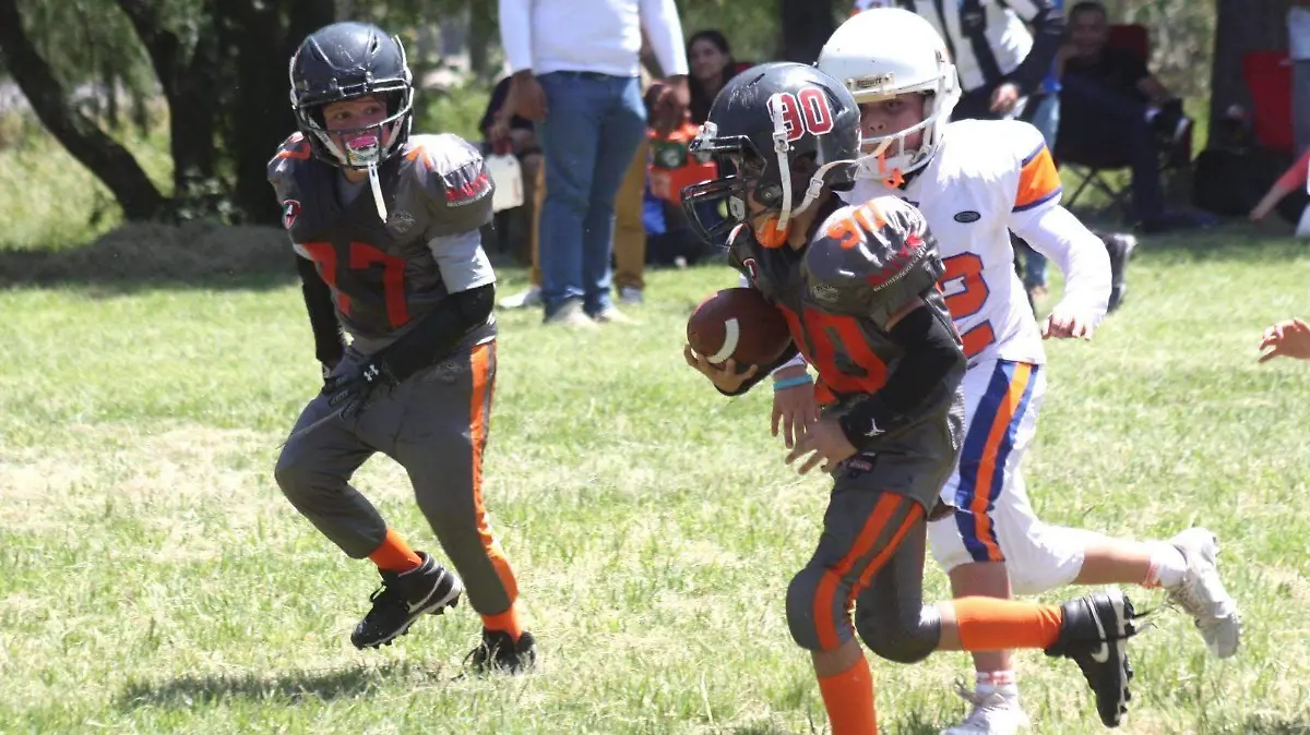 Jaguares de San Luis