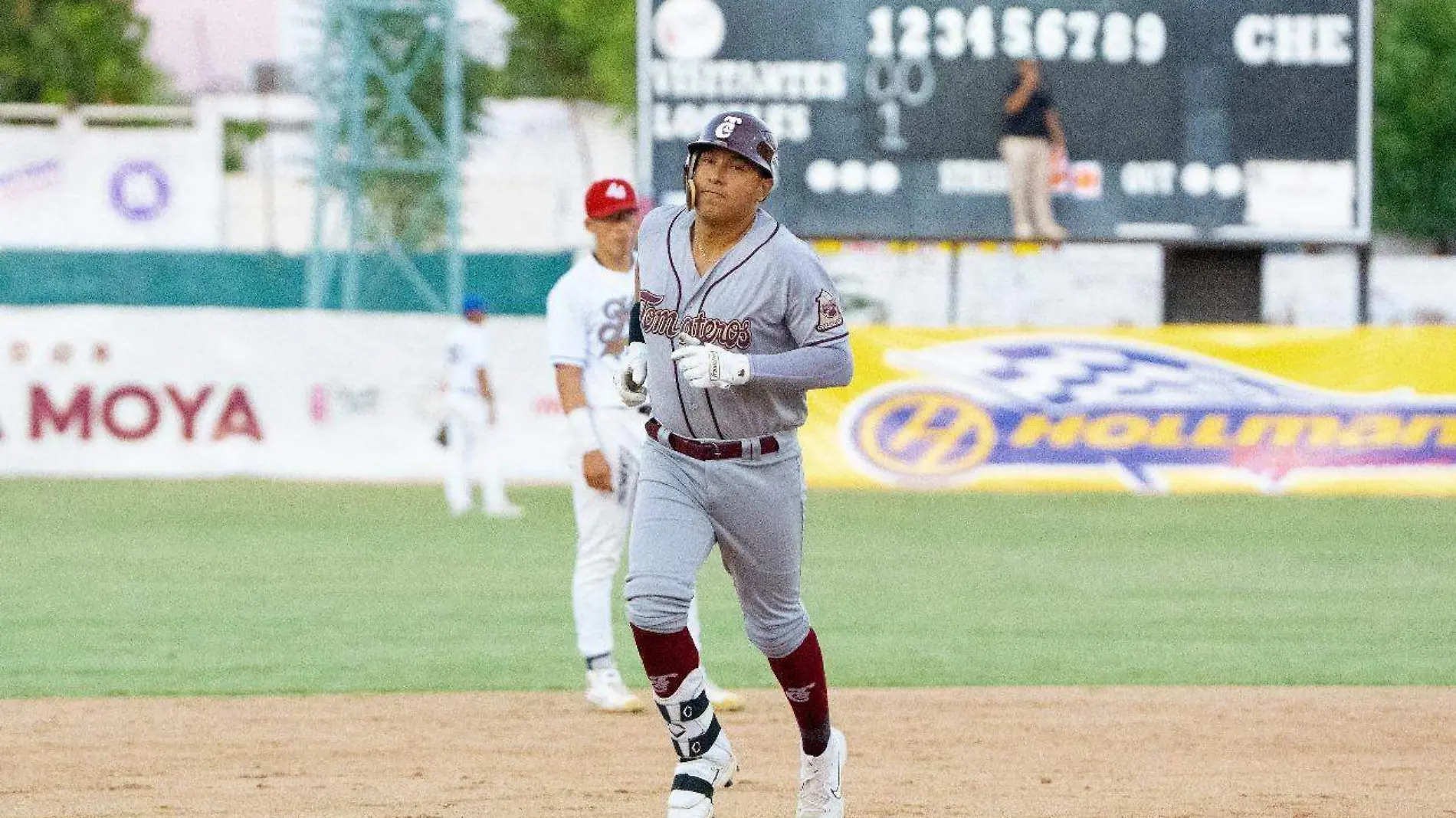 tomateros