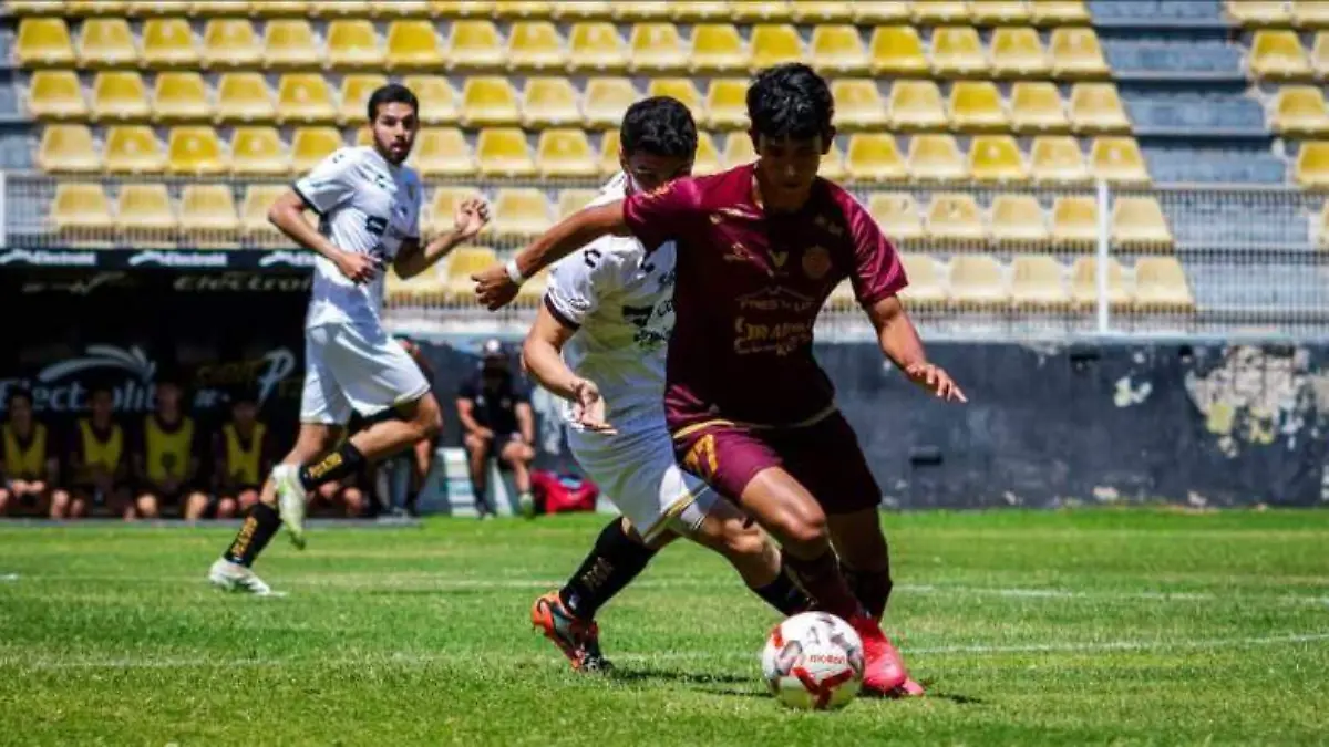 dorados
