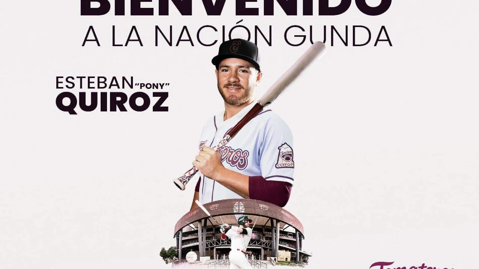 beisbol-tomateros