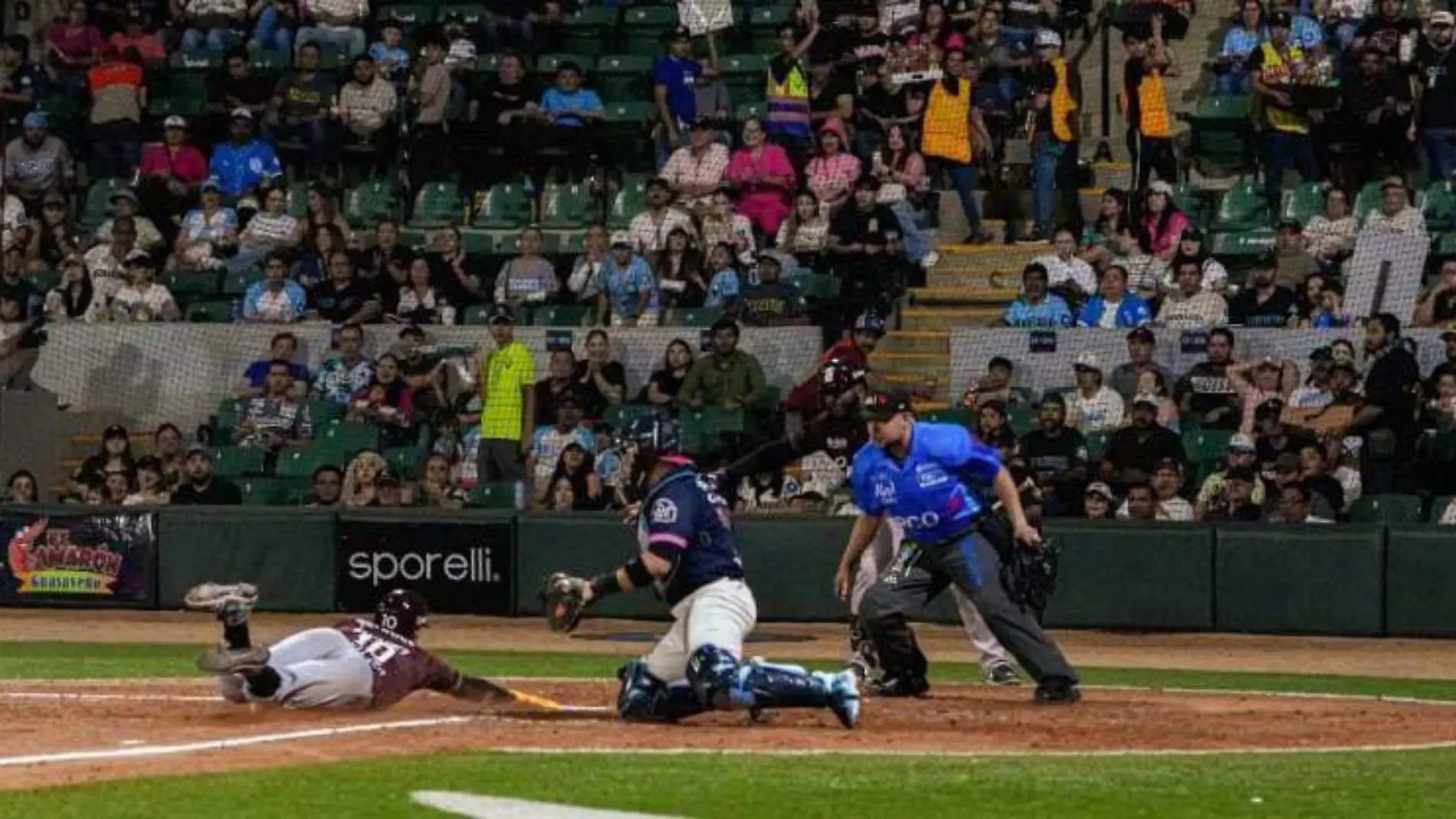 tomateros