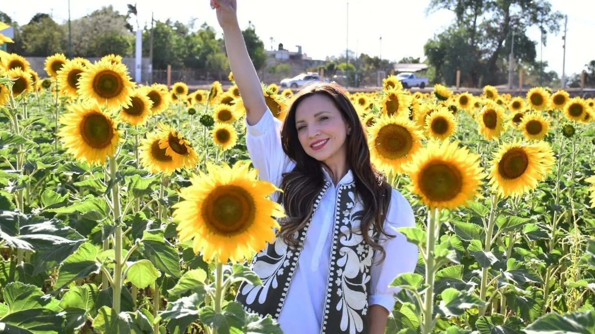 visita-campo-girasoles