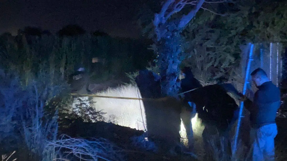 WhatsApp Image 2024-03-10 at 8.39.55 PM