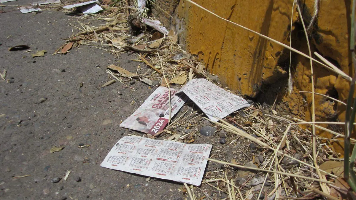 basura-electoral