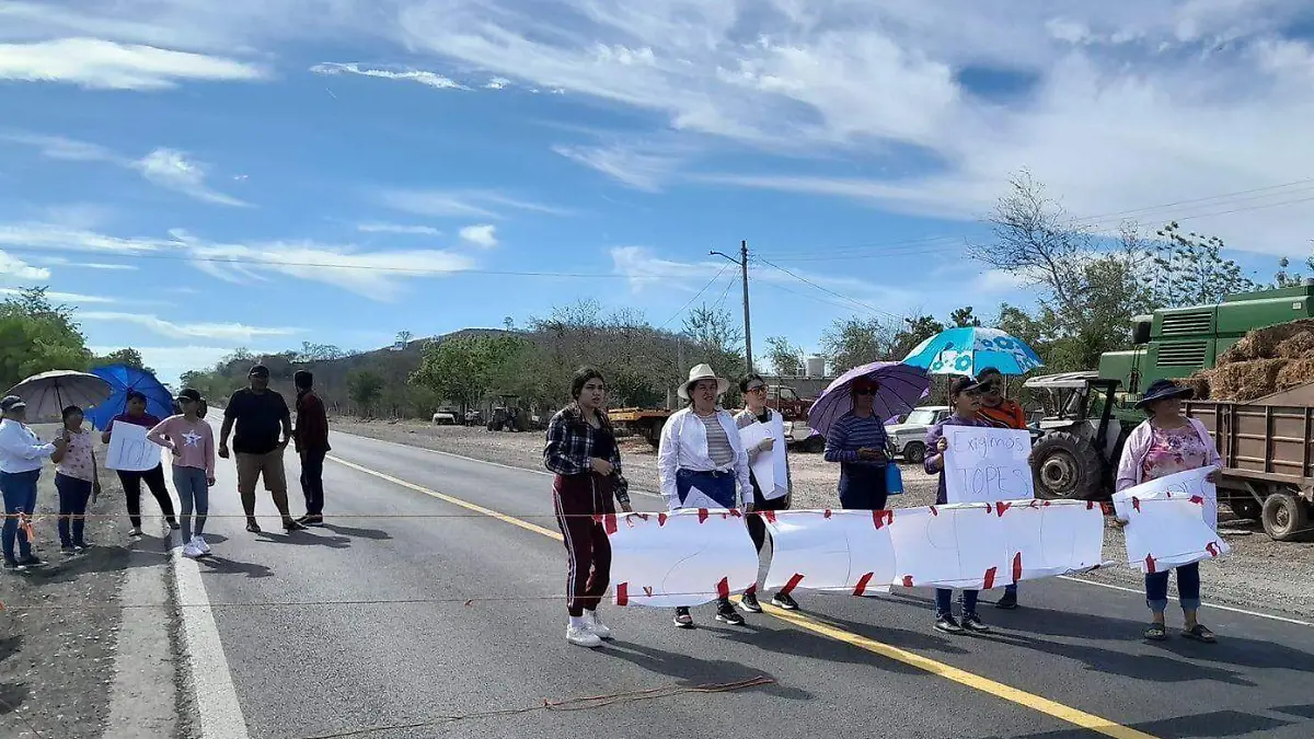 WhatsApp Image 2024-05-11 at 4.33.59 PM