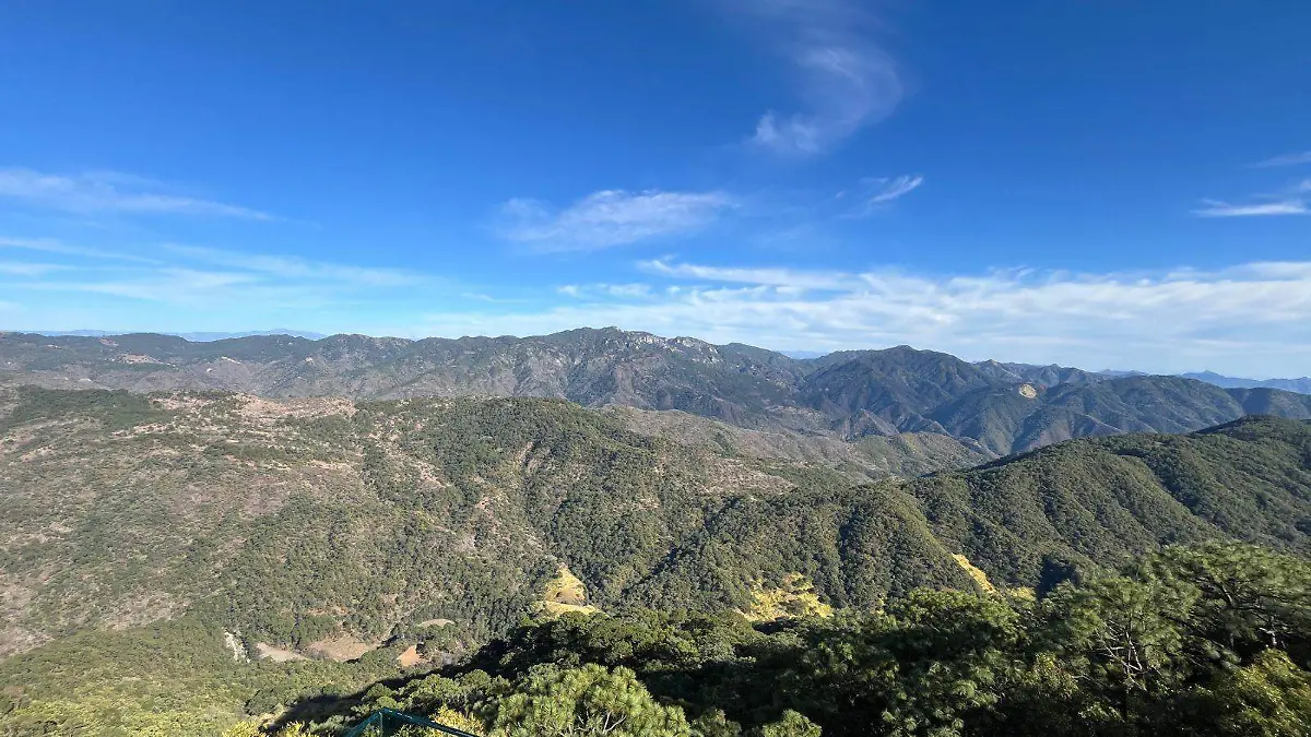 WhatsApp Image 2024-02-13 at 5.38.54 PM