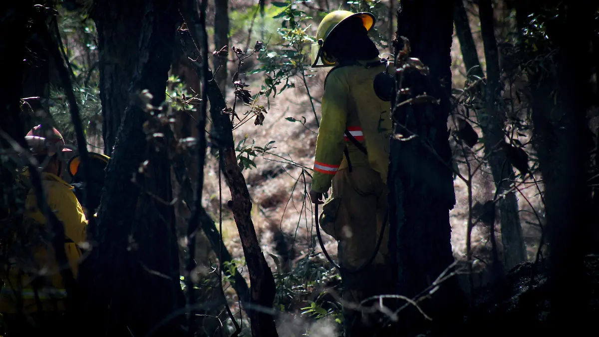 incendios-forestales