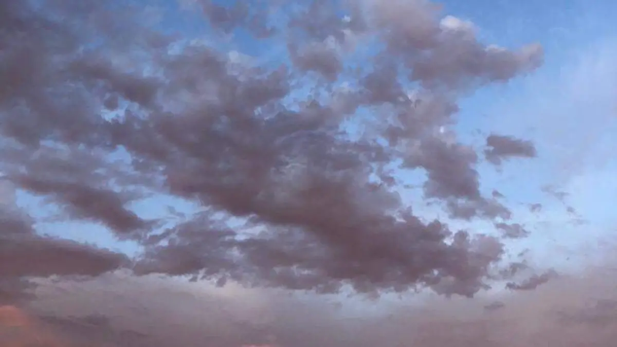 WhatsApp Image 2023-12-05 at 1.28.40 PM