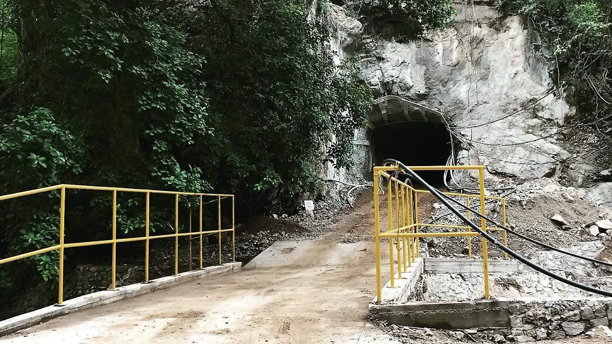 WhatsApp Image 2024-02-03 at 2.21.50 PM