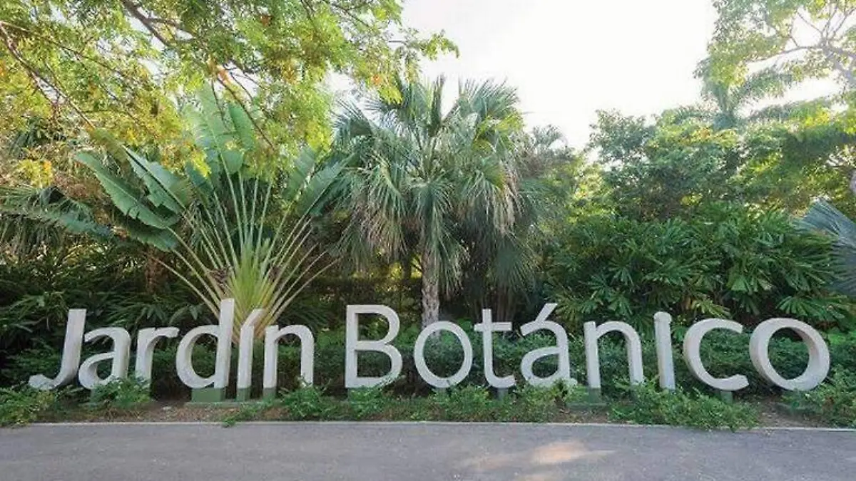 Jardin-botanico