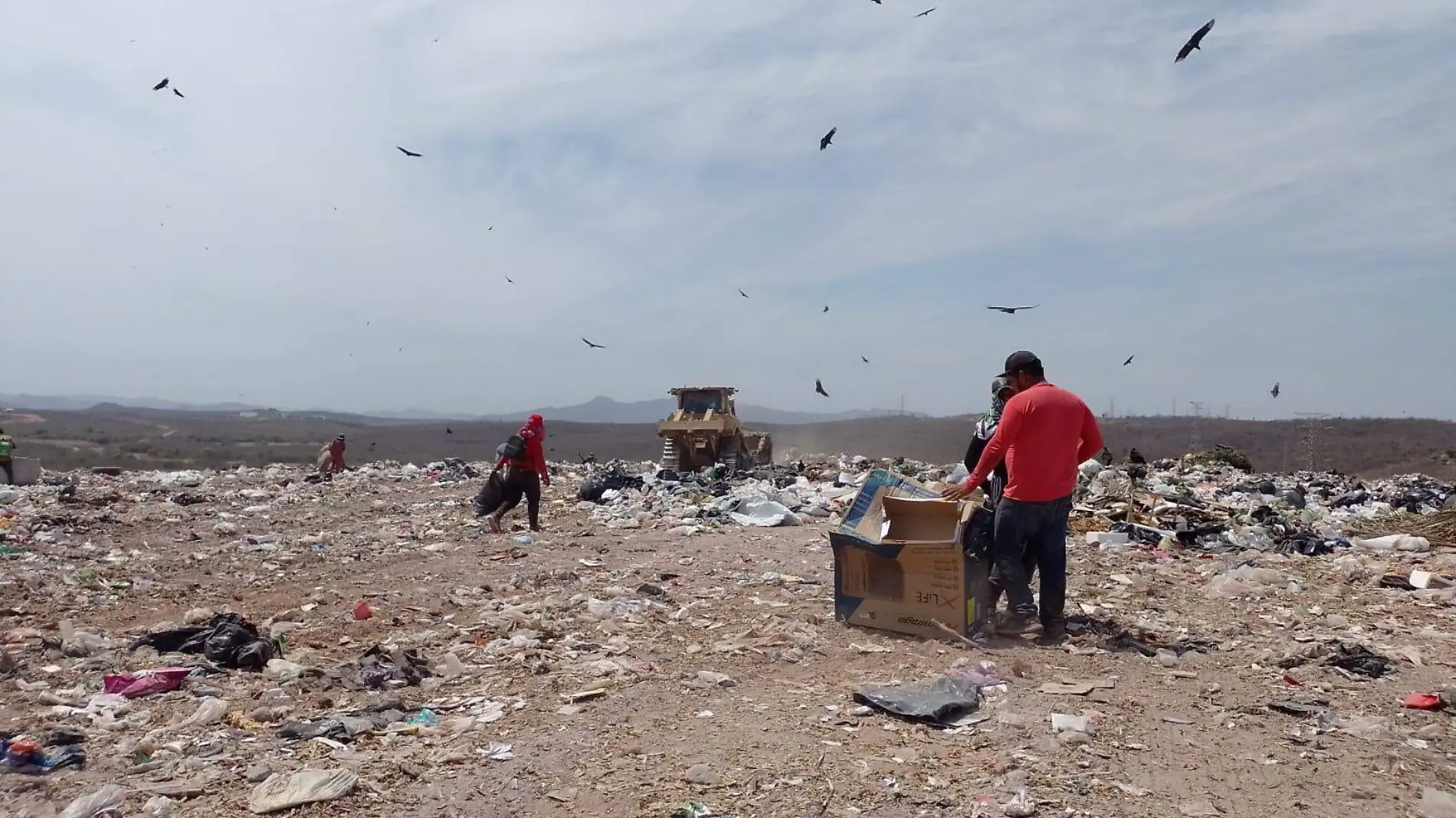 pepenadores-basura