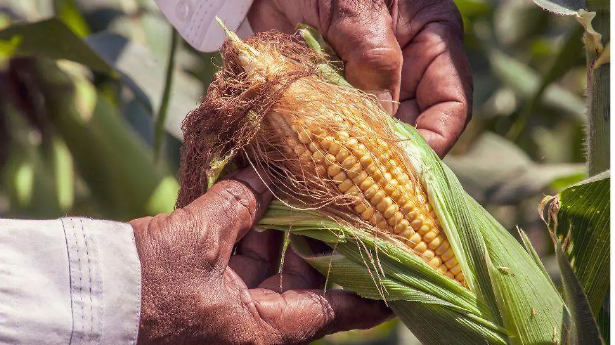 Diseño sin título (64)