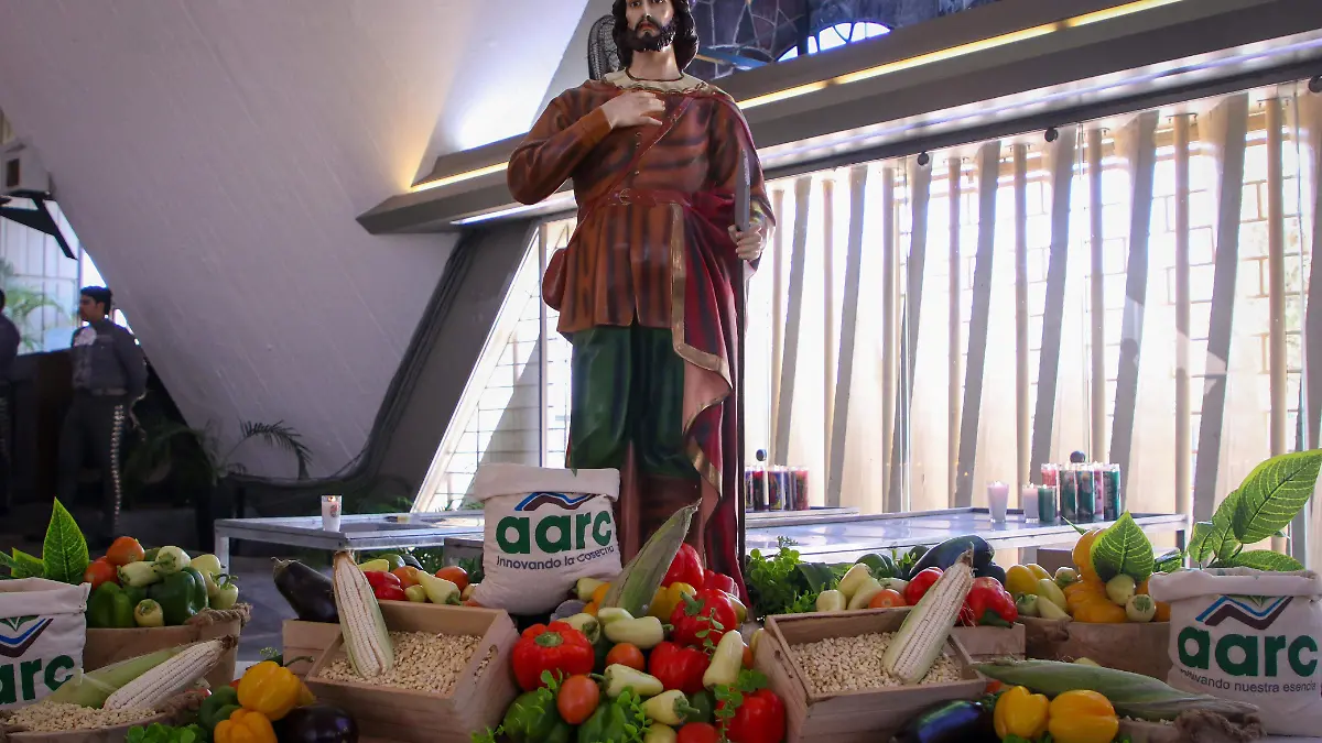 WhatsApp Image 2024-06-24 at 1.37.41 PM